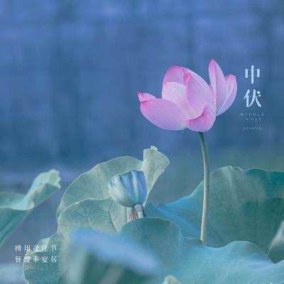 元旦节祝福语文案简单(精选92条)