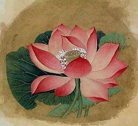 雷伊的名言 雷伊的语录