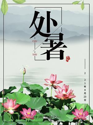 去本趋末
