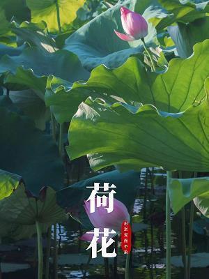 那些是是非非的伤感片段
