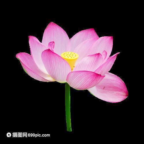 九九重阳节送给老人温馨祝福寄语