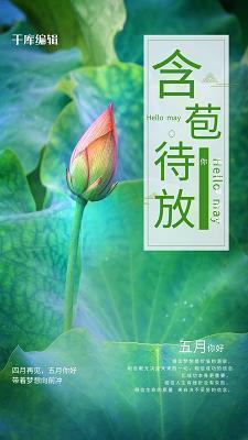 蜜汁炖鱿鱼经典短句