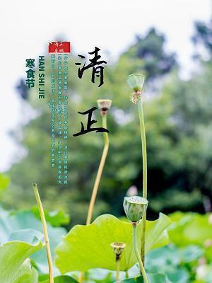为何同是诺贝尔获奖者，为何杨振宁名声大振，而李政道没有那么大的