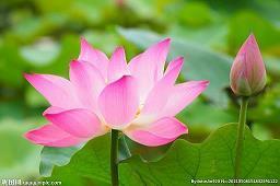 父母送孩子中考后祝福语精选69句