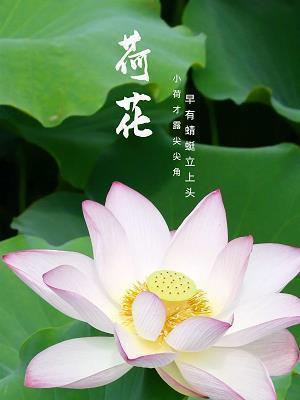 唯美英文励志语录（配翻译）