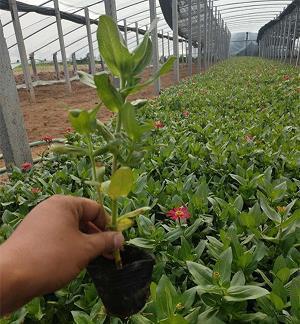 工作有关的励志小故事3则
