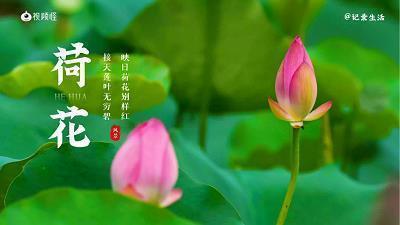 表达等待的唯美句子大全