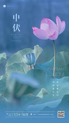 镜睇