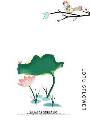 宋美龄生平经历