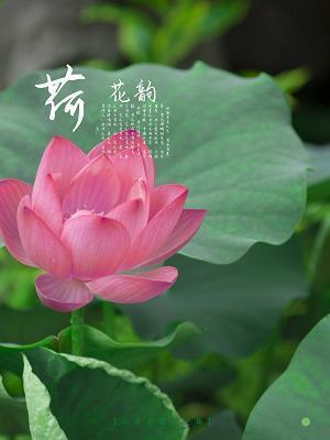 励志美文：向上的路，从来就不容易走