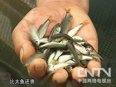 一切随缘看淡的唯美句子
