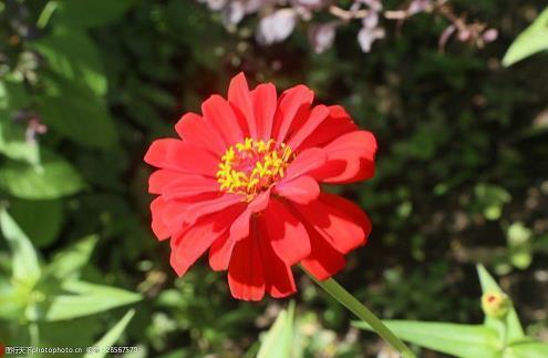 九九重阳节朋友圈问候祝福语