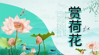 科比经典名言