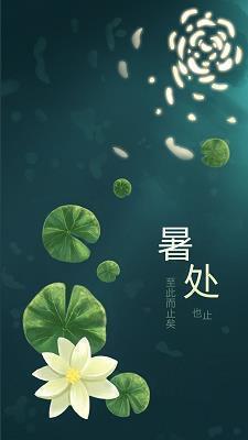 精选的杜甫的名句大全