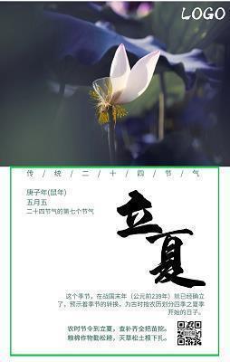 胡杏儿语录关于爱情