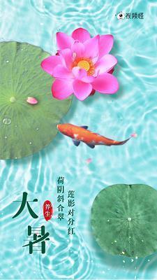 鸟乌