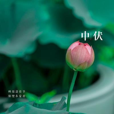 励志积极向上的句子40句