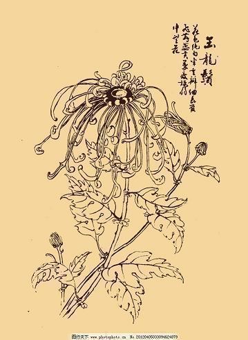 阃阈