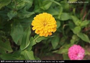 让自己的心情释放感言句