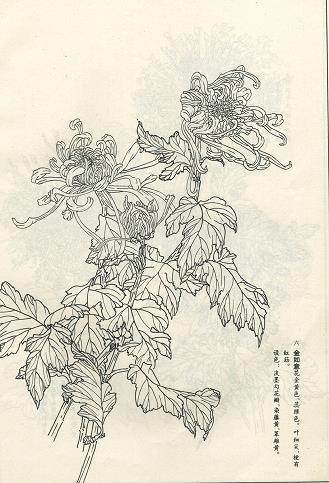 庆祝中秋节唯美祝福语(精选80条)