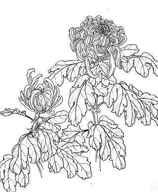 逸荡
