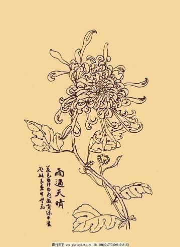 无影无踪造一句话