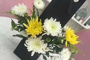 顺合