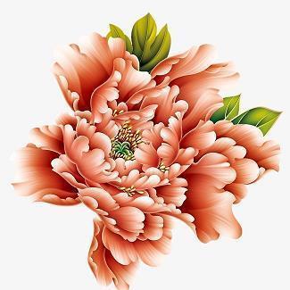 奋斗励志语 正能量抖音短句