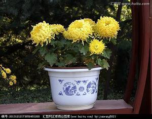 高三寄语或鼓励的话