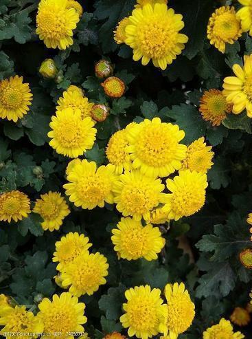 中秋节送老公的祝福语