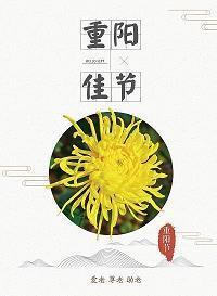 等待一个人的暖心唯美句子