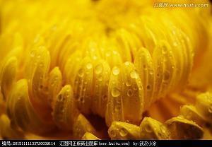 结邻