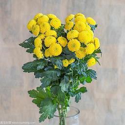 心情低落无奈说说句子