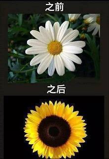 廉洁诗歌