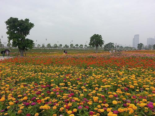 三国杀 孙尚香sp台词