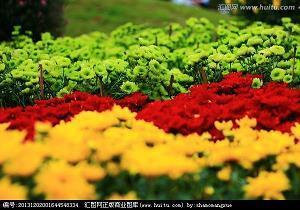教师节给老师祝福语简短