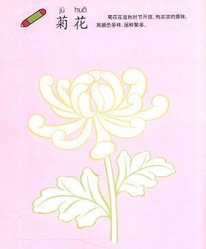 元旦祝福语简短10字以下