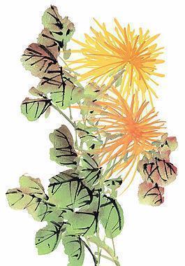 关于孤独的说说 关于孤独的说说大全