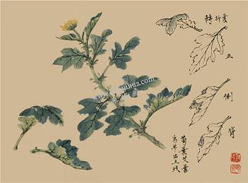 心情愉悦的唯美句子_心情唯美句子