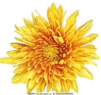 清明节写给老师短信问候