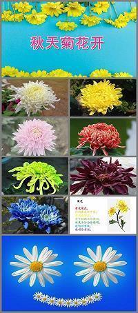 看烟花英语短句