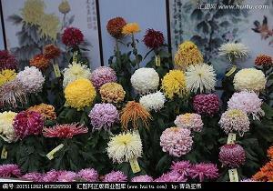 朋友圈简短精辟的说说(24句)