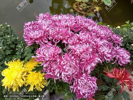 正能量周末愉快的句子