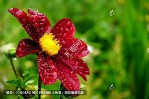 六一儿童节祝福语大全集汇编74句