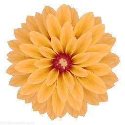 耳聋的打击乐独奏家：世界上第一位女性打击乐独奏家伊芙琳·格兰妮