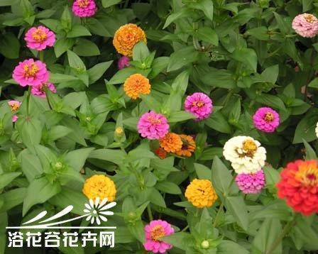 不辜负自己的说说 不辜负自己不将就生活的说说_不辜负好天气的唯美句子