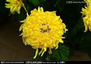 幼儿教师格言 幼师的暖心人生格言