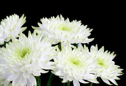 蕂
