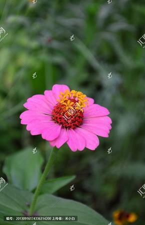 唯美孤独伤感的句子