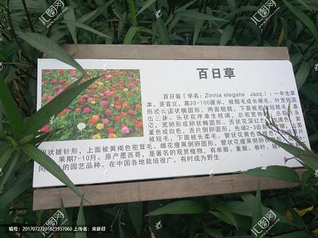 认真上课的句子 关于认真上课的句子